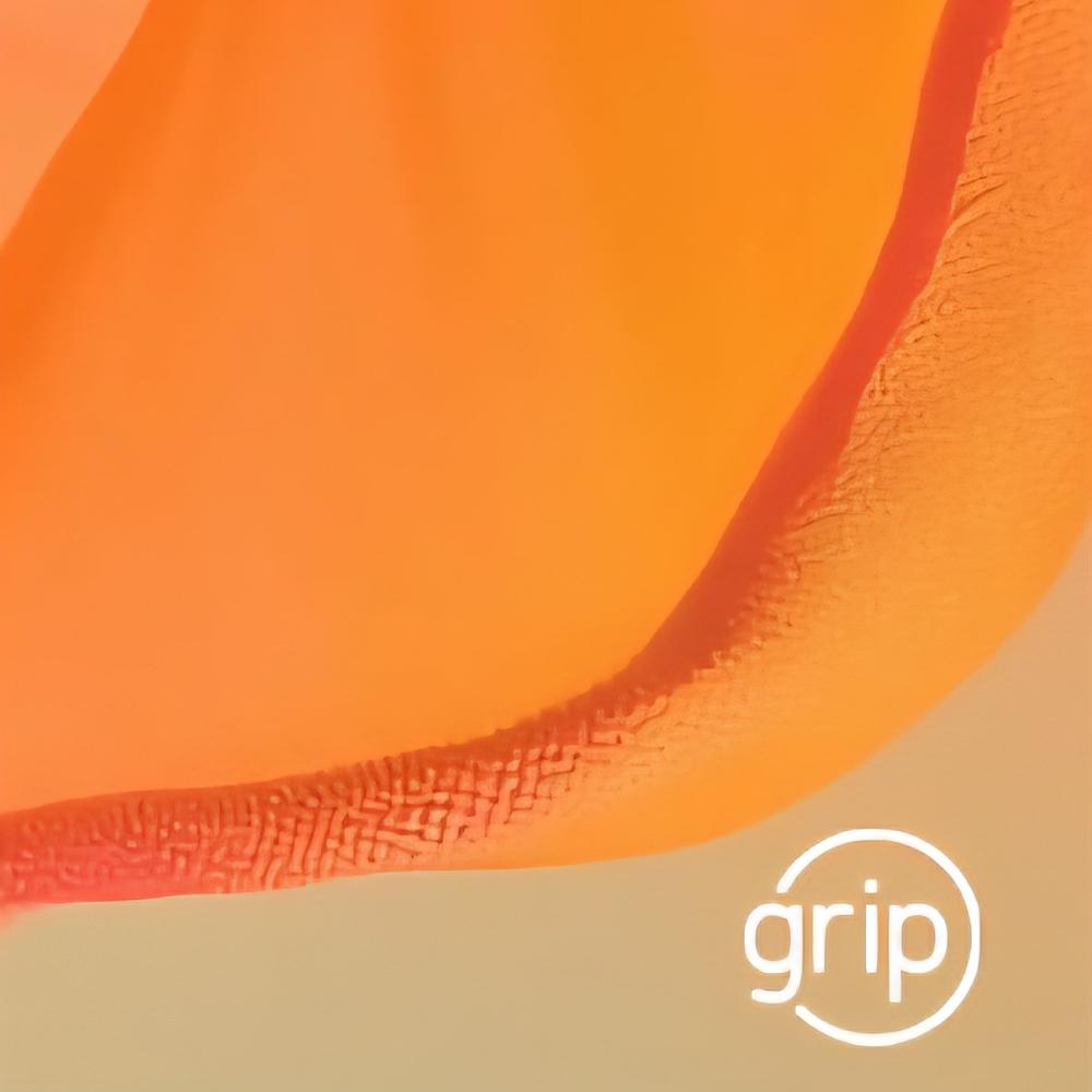Visuel des formations du GRIP.