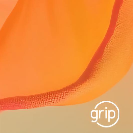 Visuel des formations du GRIP.