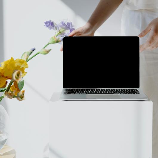 Sur l'image, un ordinateur placé près d'un pot de fleur sur un fond blanc lumineux.